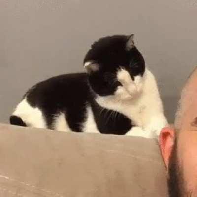 What is this actually?