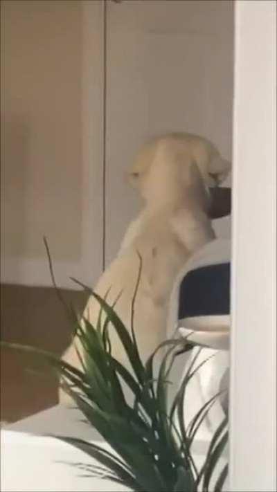 Good girl elite for dad l with his slipper as soon as he comes home