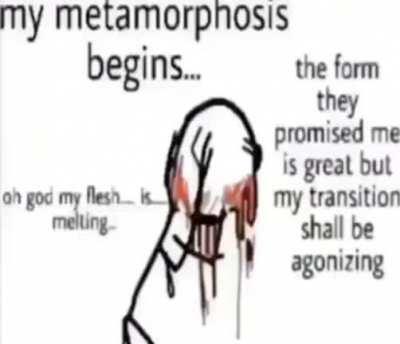 my metamorphosis begins...