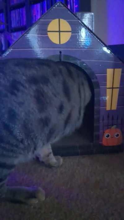 Not your Haunted house 