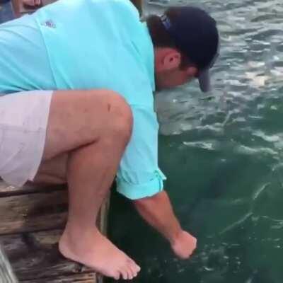 WCGW Fishing with your bare hands