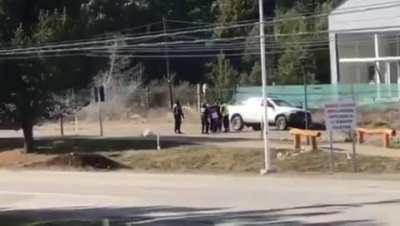 Bariloche - Llevan detenida a una persona por pasear un perro