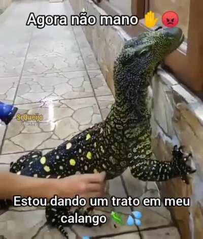 Agora não 🖐🏻😠