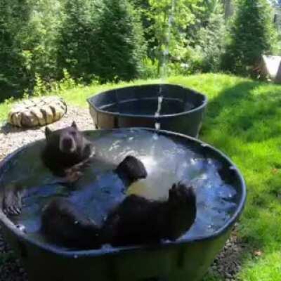 What are you staring at? I'm showering!