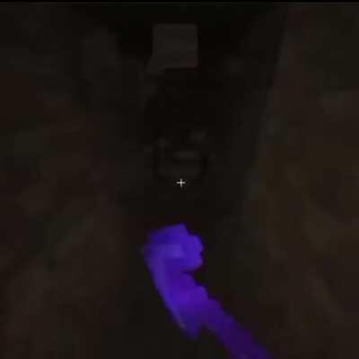 You have been gnomed