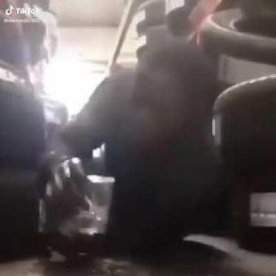 Me mandaron a cuidar los pollos, chao