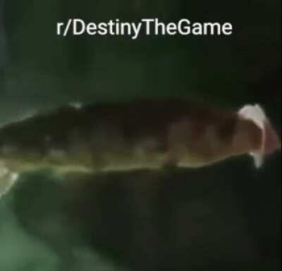 NOOOOOO LET ME USE MOUNTAINTOP FOR THE 20TH SEASON IN THE ROW FUCK YOU BONGO!!!!!!!!