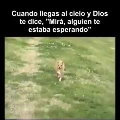 Lo ví y lloré, ahora vos también. Buen jueves.