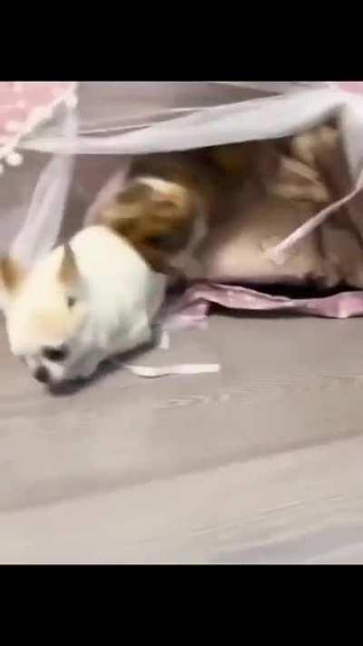 How to evict a squat