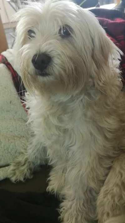 A poor neglected waif begging for a scrap of affection