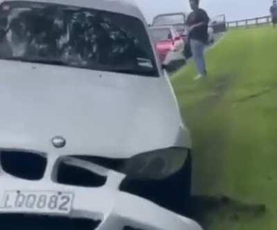 Meanwhile in Auckland Domain