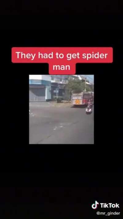 Spider man not yet home