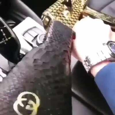 Big privet from Russia