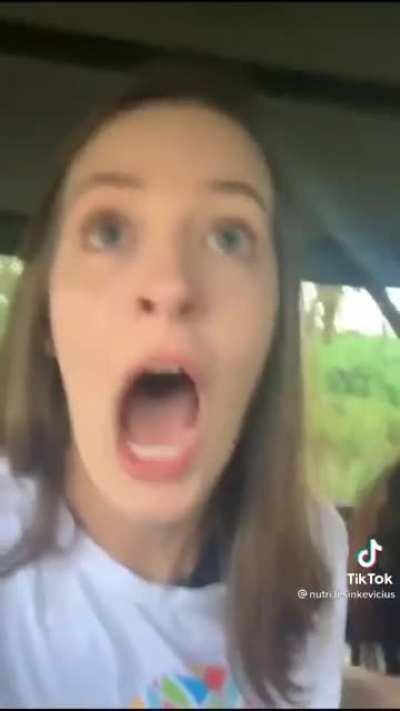 A bolsa da mulher,tadin macaco