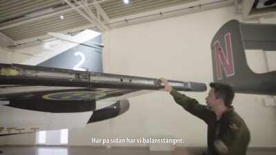 Det svenske Flygvapnet