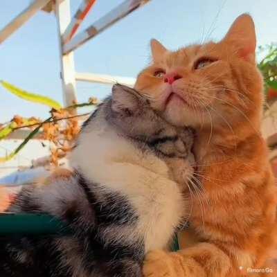 Being held by your SO is a very healing and loving experience 🥺❤️