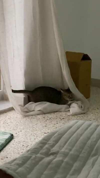 Charging up for the greeble dash