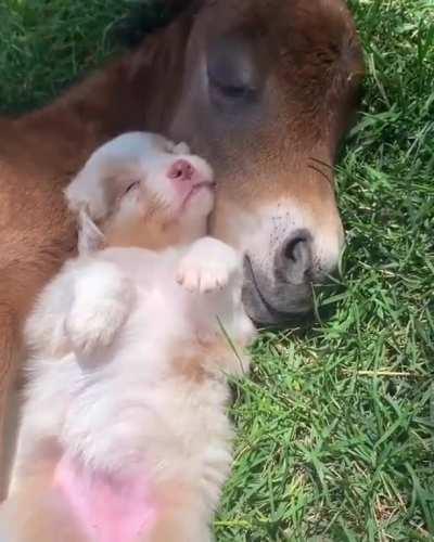 Beautiful Little Things