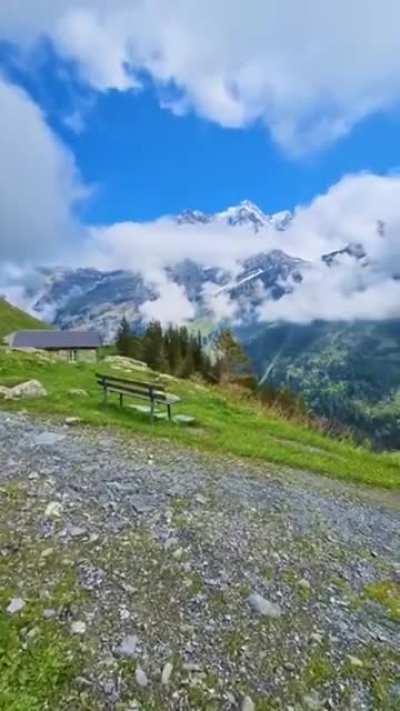 When you gotta go . . . You gotta go!