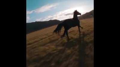 Drone videographer gets hit by the same horse he is filming after accidentally spooking him with the drone