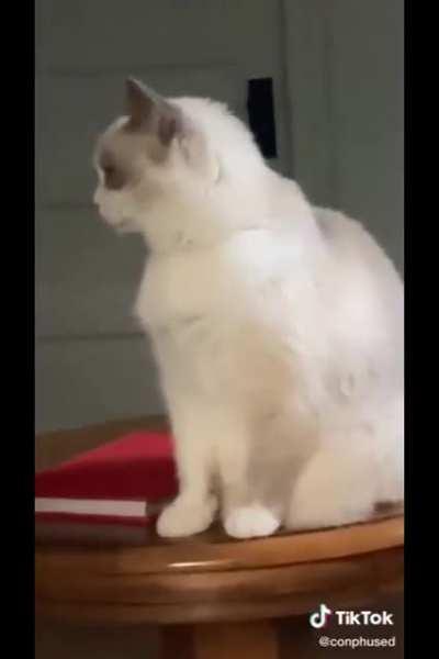 Startled by the sound