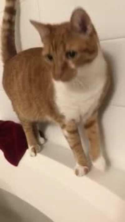 Went straight for the neck