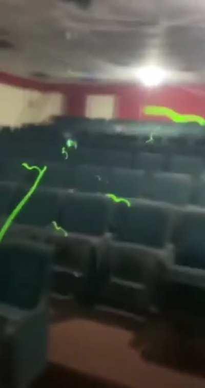 POV: You’re a Rental At An Airsoft Field