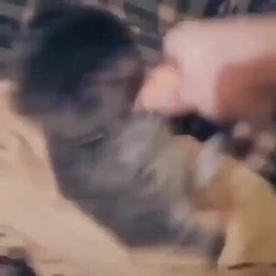 Illojuaner agarrándose a un pene