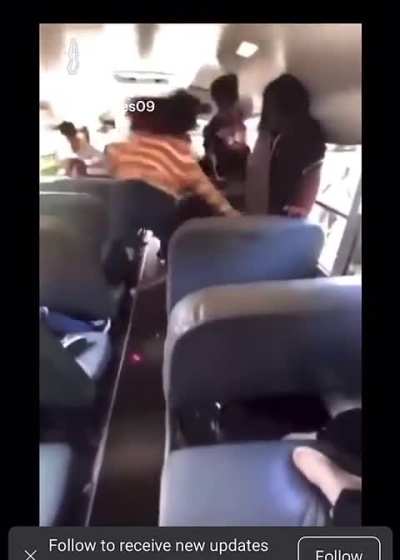 Bus fight 😂
