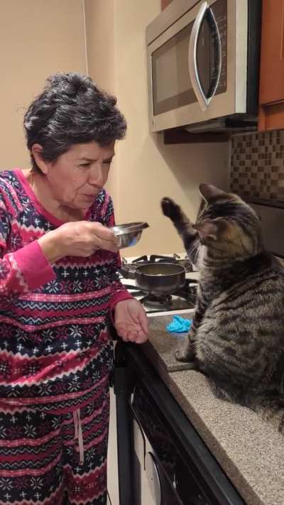 My mom cooling off some scrambled eggs for my cat