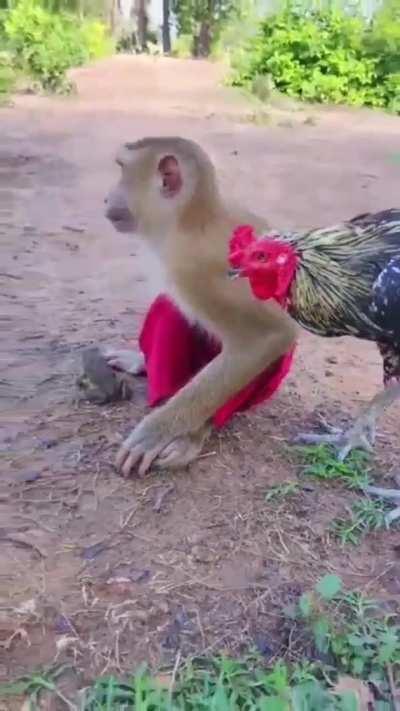 We have gained allies 