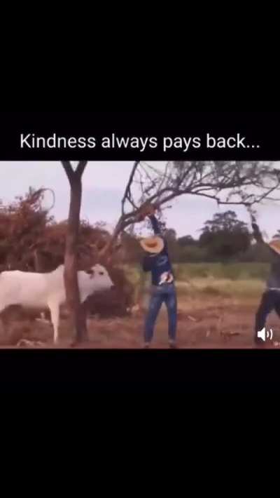 Kindness always pays back