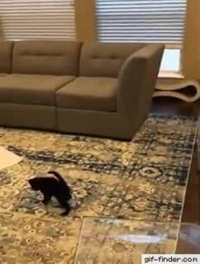 An agent escaping their holding cell