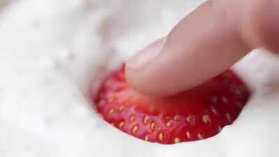 Yogurt Cup Strawberry Cheesecake