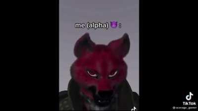 furries are something else