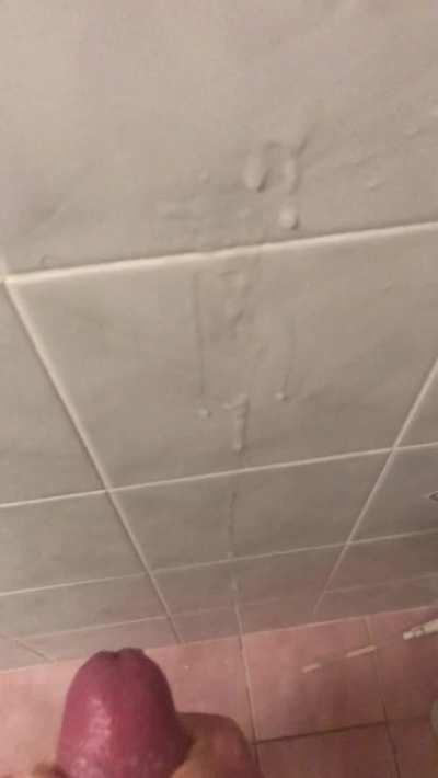 Where do you want it?