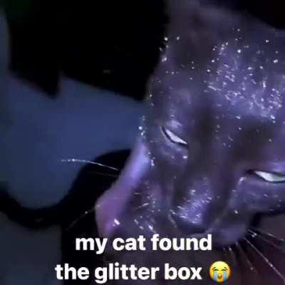 Ultra-rare edition Wunk