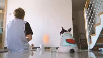 Когда в твоем псе прячется инопланетянин из 