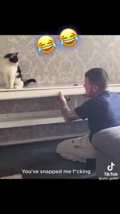 Bongo the cat adding to the stereotype