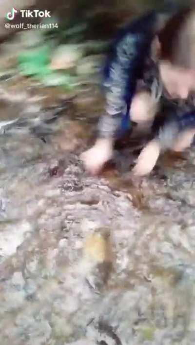 Acting like you’re a dog to get internet points