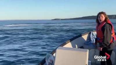 That’s pretty cool to be honest