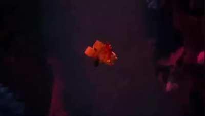 Me to all geovatniks who support Vladolf Putler