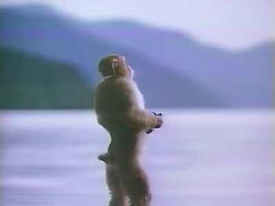 Me listening to Misty by Miki Matsubara at 4 AM be like: