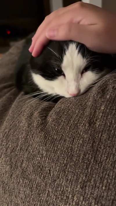 Tricked her with a false sense of security