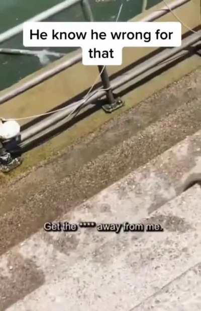 Guy pushes his girlfriend into a lake