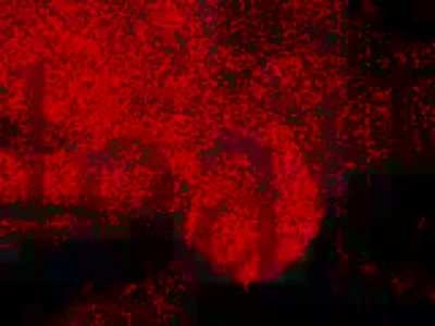 Oto mem który jest nie ofensywny (nie obraźliwy) proszę nie banować😫😫😫😫☹️