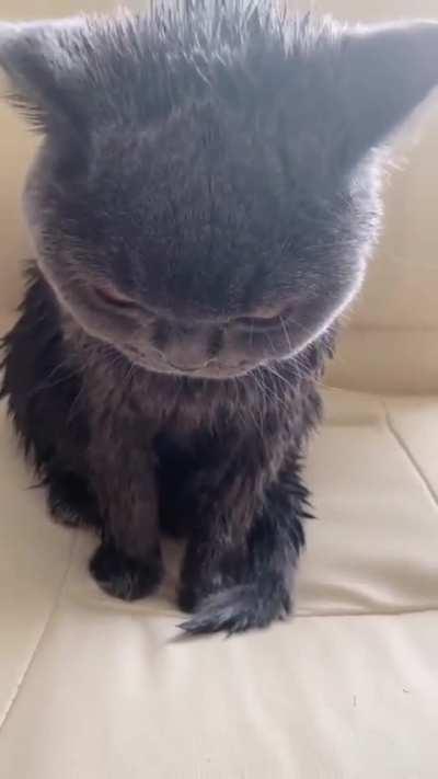 Ready to kill 👀😂