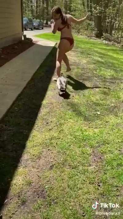 Jerry the companion. Can be called when you need to make some extra damage. Make stats in the comments