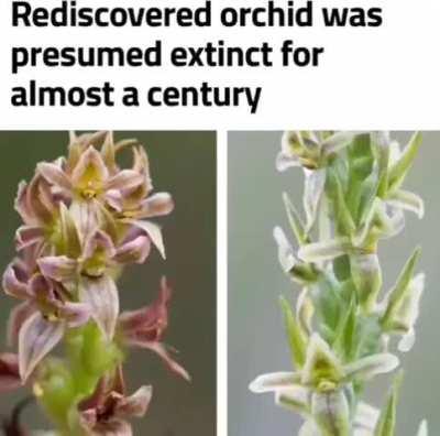 Day 111 of telling you guys to love yourselves! No matter how hard life tries to keep us down, we persist. You are warriors, you will fight to the bitter end. I believe in you!Please if you need someone to just vent to I’m always here. I may not be able t