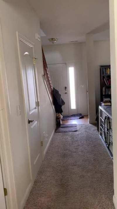 friend got her halloween costume! Hope this reddit can appreciate our....shenanigans